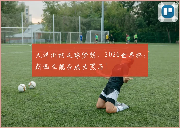 大洋洲的足球梦想,2026世界杯,新西兰能否成为黑马!